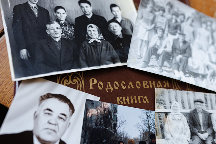 За последние 4 года «Семь поколений» создали уже более 560 родословных