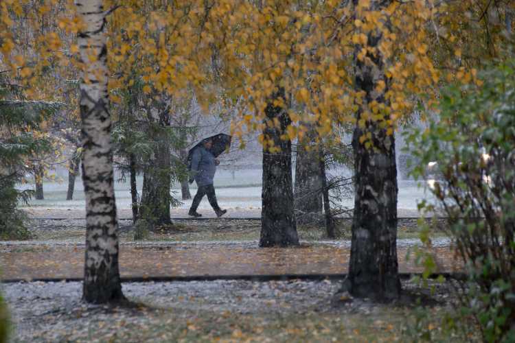 Снега во второй половине ноября так и не дождались, да и, судя по прогнозам, в ближайшее время ожидать его не приходится