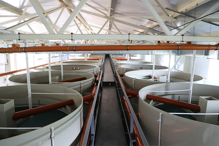 Главными причинами невыполнения целей проекта стали просчеты в проектировании, а также оплата невыполненных или некачественно выполненных работ при строительстве объектов