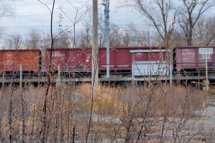 «С прошлого года объем грузов, доставляемых в Россию, падает. В 2022 году контейнерные перевозки были очень сильно востребованы, но сейчас такой сильной востребованности не наблюдается»