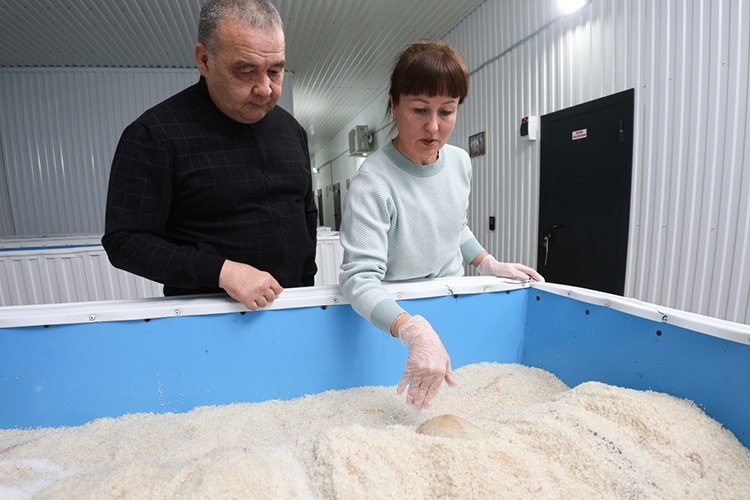 «Мы очень долго приходили к тому, чтобы создать идеальные условия для сыровяленого продукта, занимались подбором температуры, влажности, срока»