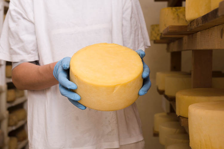 По версии СКР, Хусаенов, используя аффилированные фирмы, занимался поставкой сырного продукта с заменой молочного жира, при этом, переклеивая этикетки, указывал ложные сведения о производстве и качестве продукта