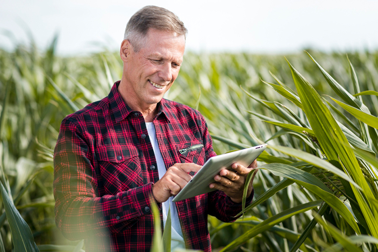 «Иногда человек приходит к нам даже не с готовой идеей, а просто с желанием, и мы начинаем с этим работать — выясняем, что ему ближе»