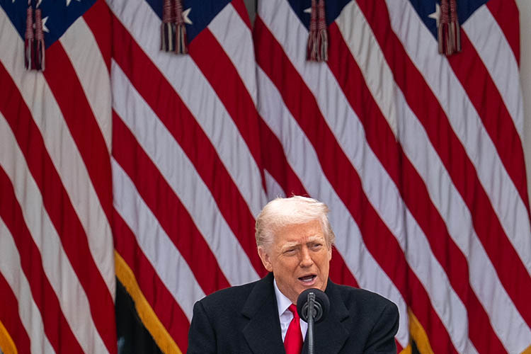 Коц полагает, что Ермак и Зеленский явно рассчитывали на личную встречу с Трампом в конце ноября и поддержку им украинской версии мирного плана, дескать, «победителей не судят»