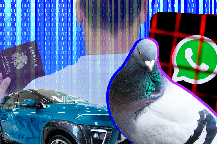 Роскомнадзор блокирует WhatsApp*, YouTube требует селфи с паспортом, в РФ испытывают голубей-биодронов