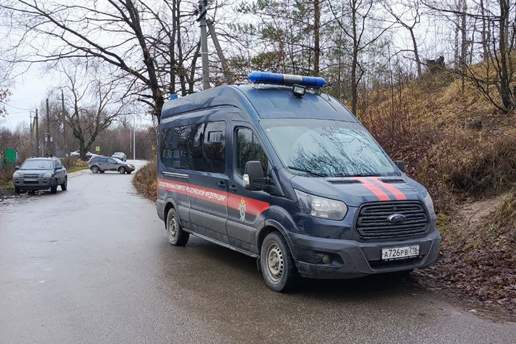 В рамках расследования будет дана правовая оценка действиям сотрудников службы отлова безнадзорных животных и должностных лиц, сообщили в СУ СКР по РТ