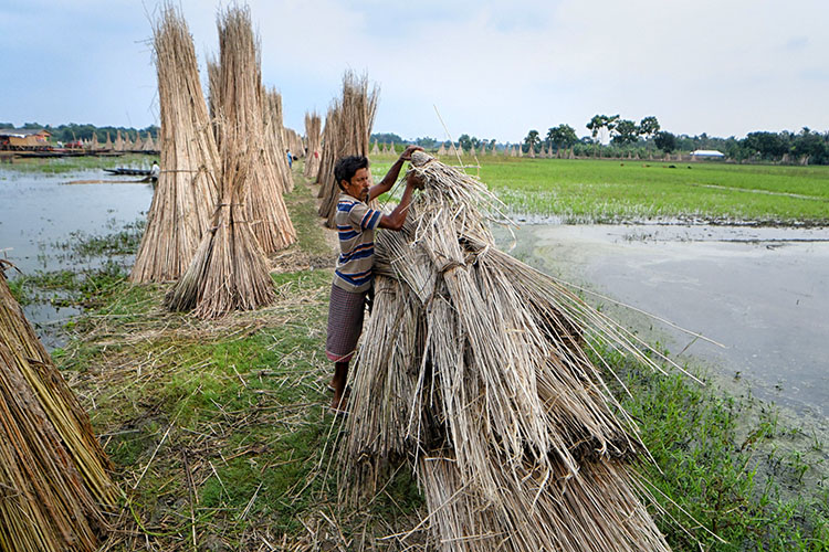 Любопытно, что сельское хозяйство до сих пор обеспечивает занятость почти половины рабочей силы страны — отражение давней ориентации на сельскую мелкотоварную экономику