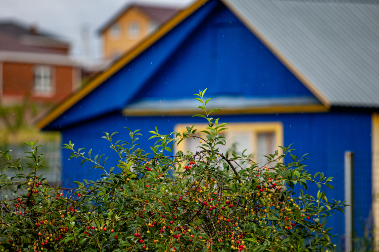 «Дачная амнистия» в свое время была очень хорошей и нужной инициативой, она помогла тысячам семей»