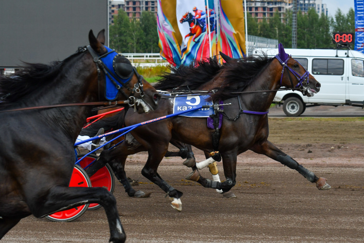 Теперь единственный владелец ипподрома — АНО «Казанский ипподром», единственный учредитель которого — АО «Рацин», подведомственное минсельхозу РТ