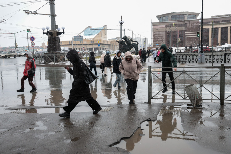 Из аномального тепла в минус 16 и обратно: переживут ли посевы погодные качели в Татарстане?