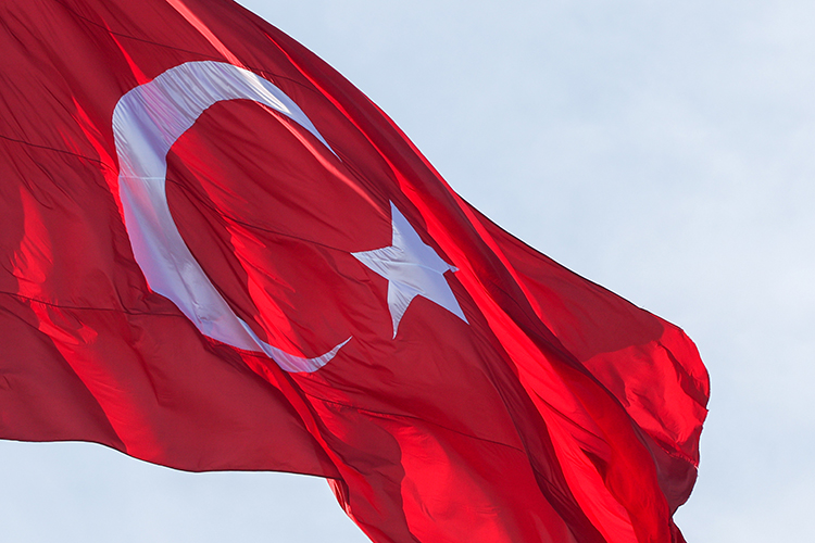 «Вместо реабилитации несовершеннолетних ждали побои, скудный паек и принудительная работа по уборке гостиницы и уходу за малышами»