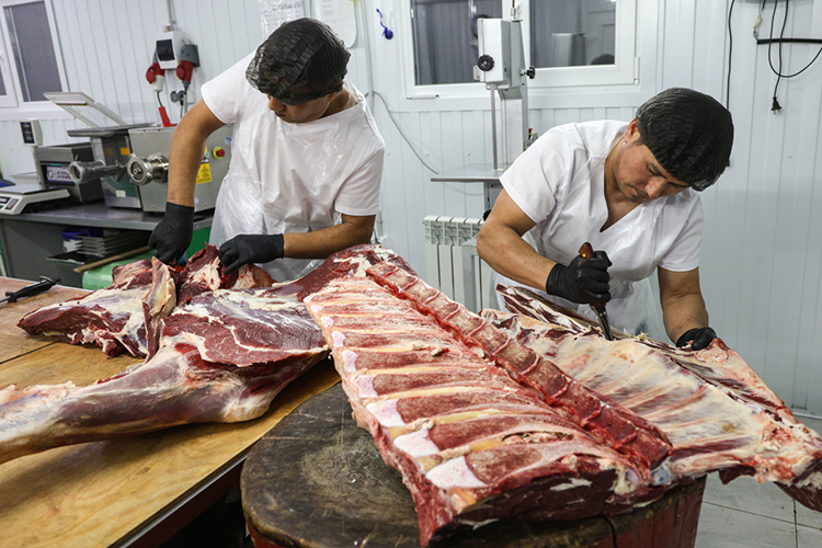 «Выгоднее забивать скот там же, где его закупаешь, а не везти за сто километров пять тонн живого веса, чтобы потом они превратились в 2,5 тонны мяса»