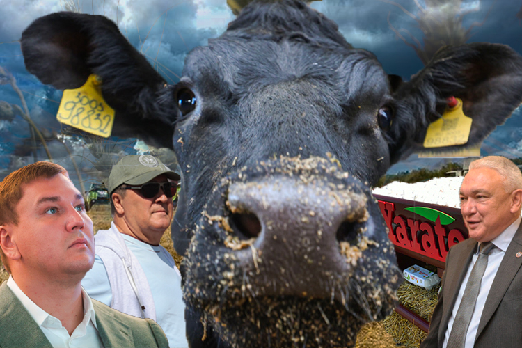 Потоп на полях, проблемы «Агросилы» и передел активов хуҗа Пестречинского района