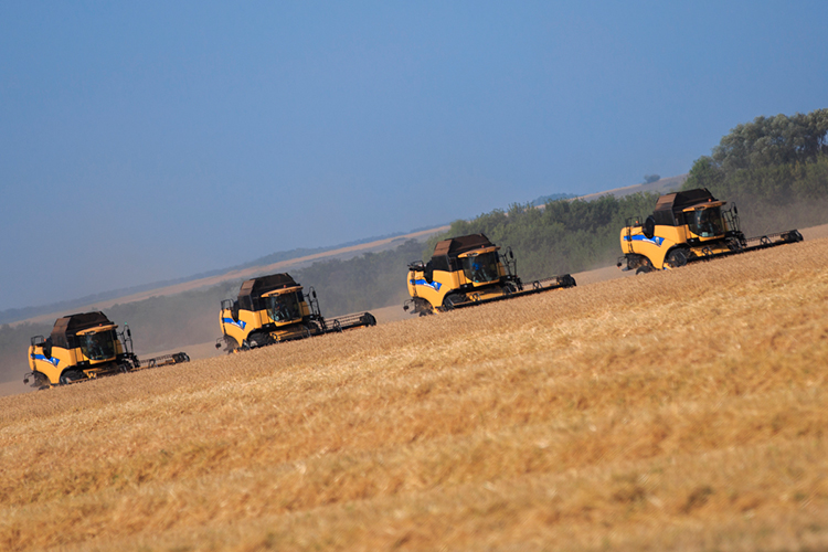 <span style="color: rgb(36, 36, 36);">Предусмотрено отметить 190 человек за наибольший намолот зерновых, зернобобовых и технических культур на зерноуборочных комбайнах &mdash; по 50 тыс. рублей на одного призера</span>