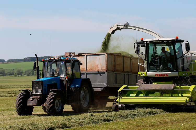 <span style="color: rgb(36, 36, 36);">Гранты будут выделяться фермерам, которые ведут свою работу более одного года</span>