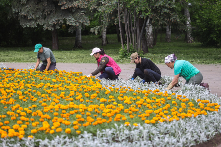 Скорректировали на сессии и правила благоустройства Казани, менять которые пришлось из-за федерального и регионального законодательства, сложившейся практики правоприменения, развития информационных технологий