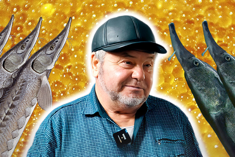 Рыбы-альбиносы и золотая икра: как фермер из Татарстана выращивает гигантских осетров