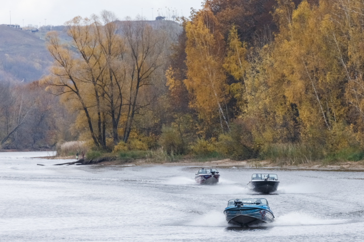 «Когда растение начинает готовиться к листопаду, в первую очередь прекращается синтез нового хлорофилла. Старый хлорофилл постепенно разрушается, а новый не образуется. В результате зеленая окраска исчезает, листья становятся желтыми или бурыми»