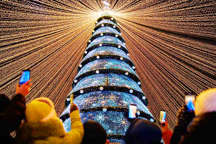 Чуть помедленнее, кони: здравствуй, 2026-й!