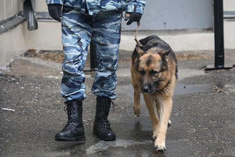 Некоторые наши собеседники подчеркивают: окончание СВО развяжет силовикам руки