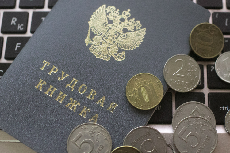 «У нас около 8 миллионов человек получают ниже прожиточного минимума из примерно 75 миллионов работающих, зарплата очень разная не только по отраслям, но и по регионам»