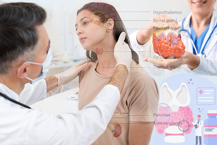 «Пациенты обижаются на диагноз «ожирение»! Просто какой-то бич!»: топ-40 эндокринологов Татарстана