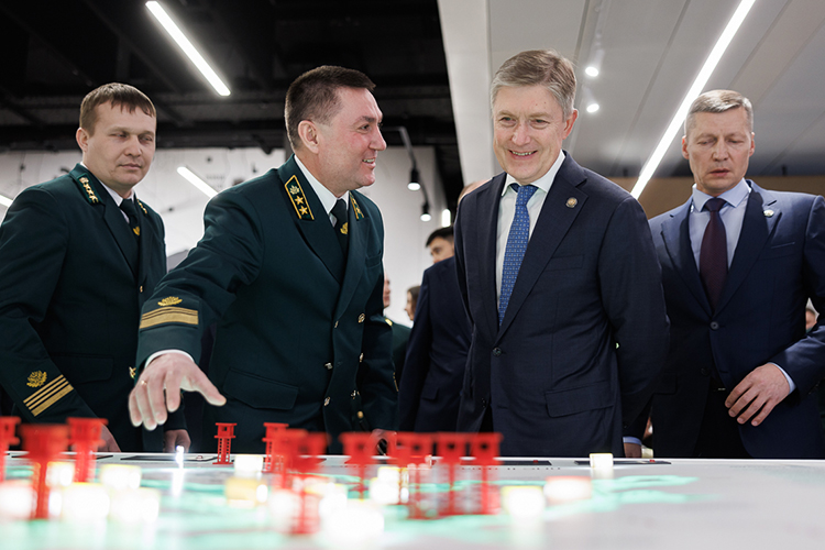 Экологи получают меньше жалоб с севера Казани, а лесники наконец смогут сами заготавливать древесину