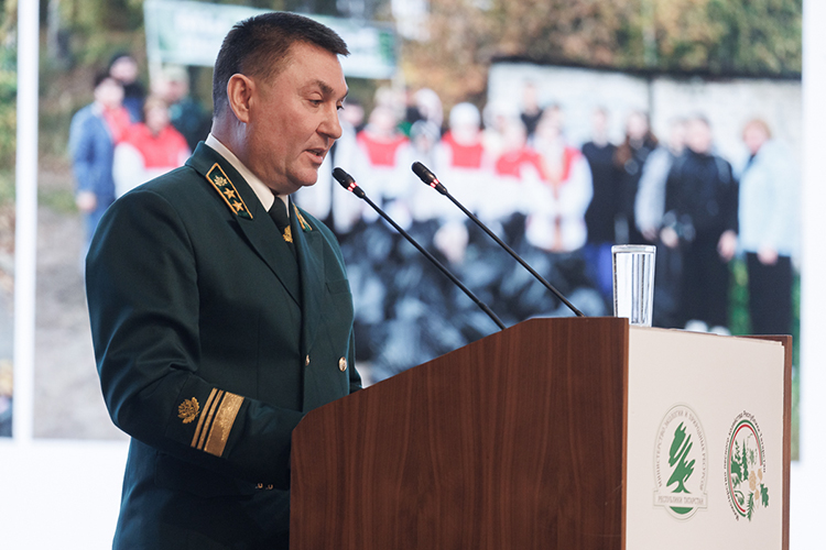 Основная причина, почему бизнес не хочет участвовать в аукционах, &mdash; лес в Татарстане состоит в основном из древесины мягколиственных пород. Доходы от использования лесов оставляют желать лучшего.