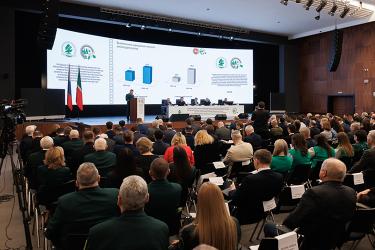 С положительной стороны в 2025 году министерство отмечает перевыполнение плана по лесовосстановлению в рамках нового нацпроекта «Экологическое благополучие»