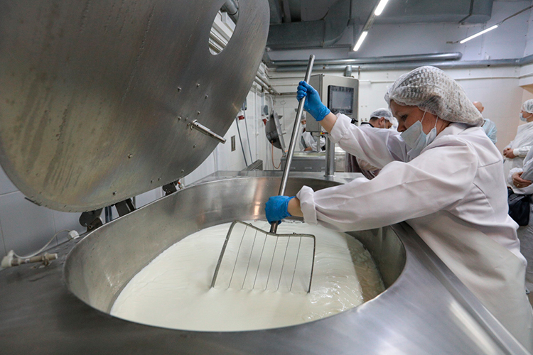 Дальнейшее снижение закупочных цен на сырое молоко, может повторить кризисную ситуацию 2023 года