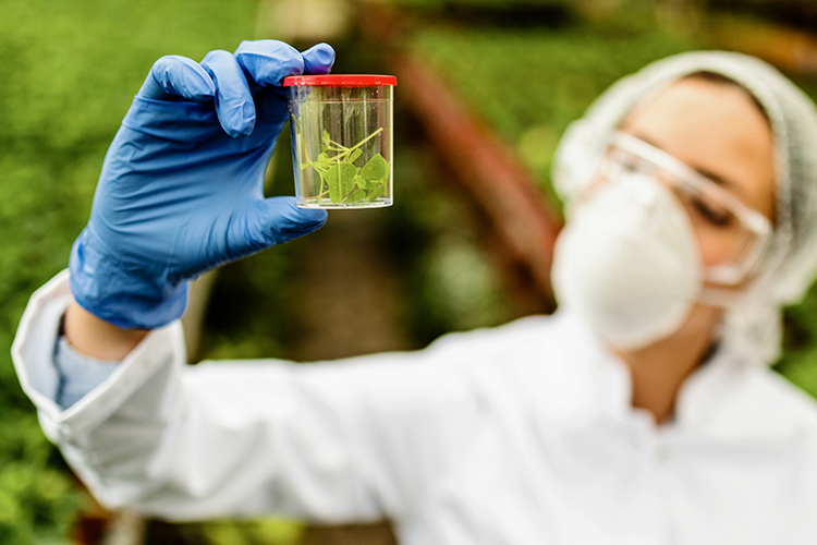 «Население планеты растет, все пытаются в разных странах повысить урожай большими дозами удобрений и вот этими химическими гадостями. Все это может привести к катастрофе»