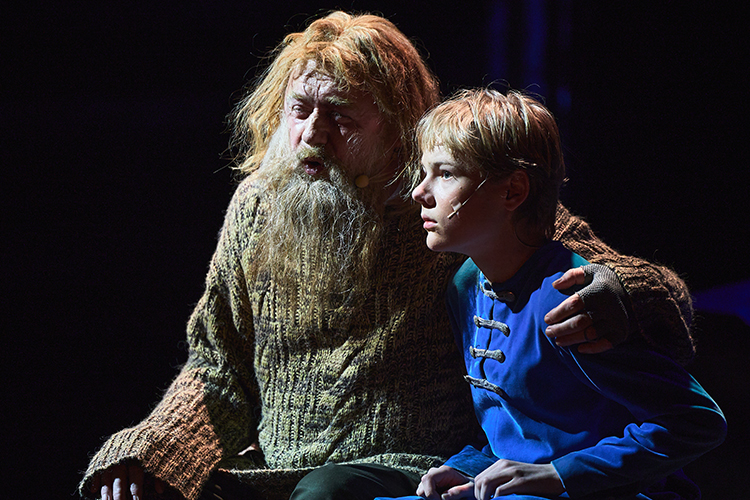 Действие философской эпопеи происходит в средневековой Руси. Она повествует о жизни травника Арсения, уроженца Белозерских краев, который еще в детстве остался сиротой