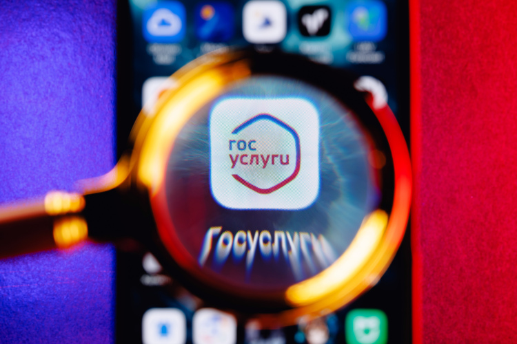 Сегодняшний уровень госуслуг в России довольно высокий, государство стало открытым, заметил Медведев