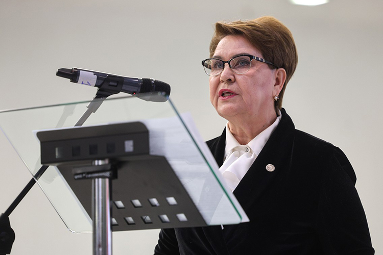 Наибольшее количество обращений в «Народном контроле» связано с такими категориями, как прием врача, работа скорой помощи, доступность записи на прием, а также отсутствие льготных лекарств в аптеках