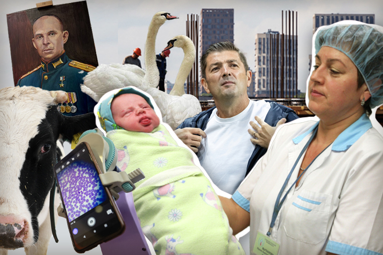 Рекордные надои, генконсул Индии и новый тренер «Рубина»: 25 хороших новостей из Татарстана за январь