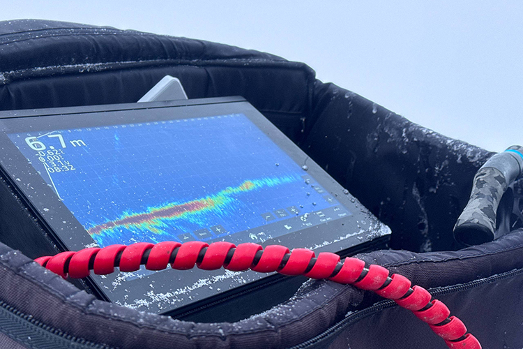 Есть в прайсе баз и трофейная рыбалка с егерем, программы рыбалки с Panoptix, рыбалка на аэролодке &mdash; на индивидуальные туры ценник высокий, но всегда обоснованный