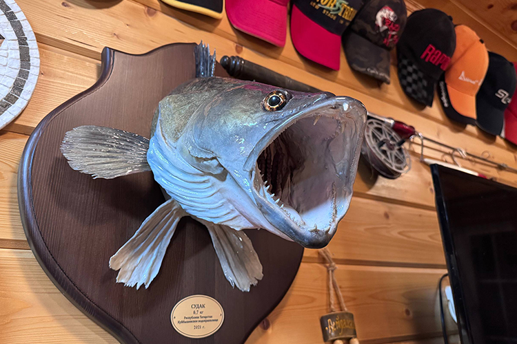 Основная клиентура рыболовных баз республики &mdash; именно гости из других регионов