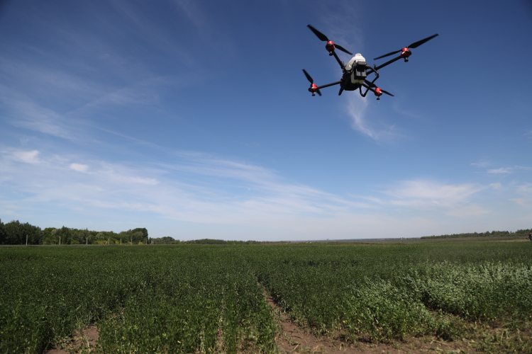 Над полями Татарстана все больше беспилотников