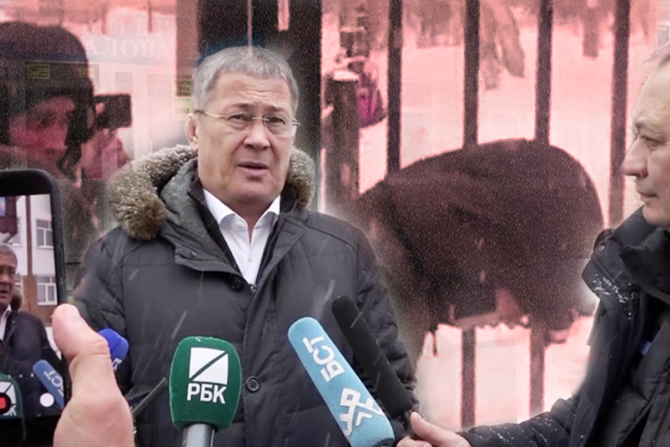 «Я не хотел… Ну просто припугнуть»: как и зачем подросток устроил стрельбу в гимназии в Уфе?