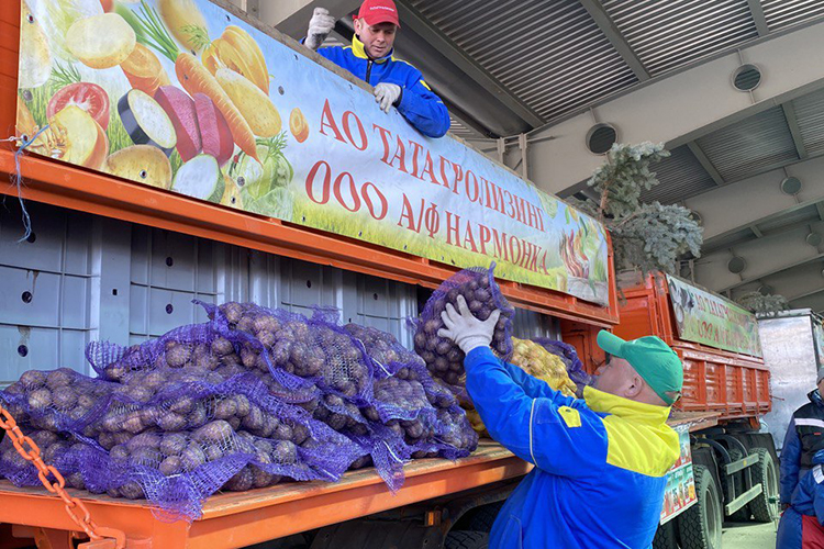Еще один успешный кейс Азата Ильдусовича &mdash; восстановление «огорода» Казани &mdash; овощеводческого хозяйства «Нармонка» в Лаишевском районе, апгрейдом которого «Татагролизинг» занимался с 2017 года