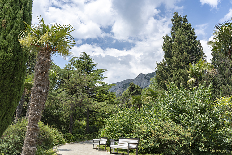 «Когда ты выходишь из корпуса санатория, тебя сразу обнимает эта прохлада, этот воздух &mdash; густой, влажный, пахнущий хвоей, морем и землёй»
