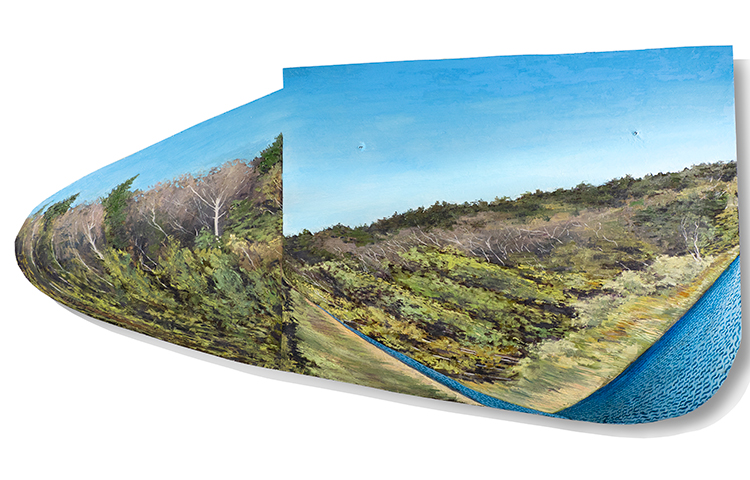 «Поехавший пейзаж», Д. Кудряшов