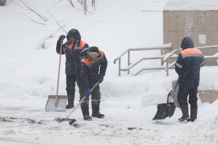 В штате управляющих компаний летом 2025 года работали 1,5 тыс. дворников при нормативе в 2,2 тыс. специалистов. Но к началу зимнего сезона их количество традиционно сократилось на 20% до 1,2 тысячи
