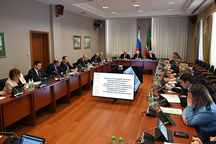 Начали с обзора статистики. Количество детей-сирот в Татарстане с годами снижается