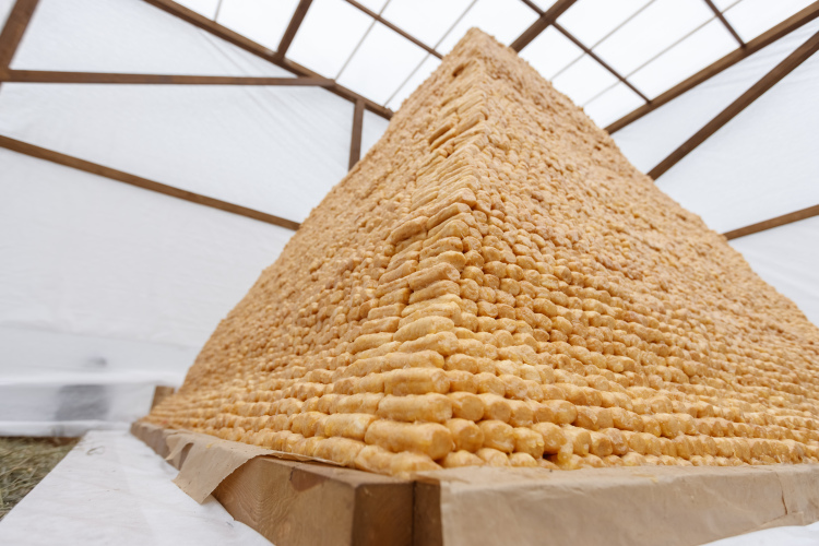 Продукт в виде конуса, пирамиды или полусферы состоит из обжаренных в масле палочек из теста, равномерно залит медом или медово-сахарным сиропом