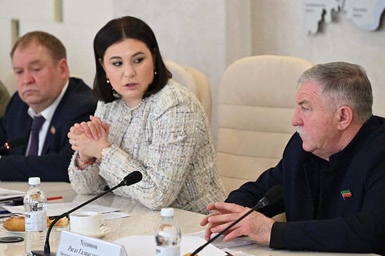 Талия Минуллина о ГЧП: «Федеральных программ – как кот наплакал!»