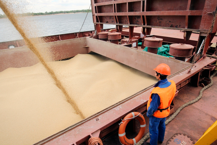 «Непростой год для аграрного экспорта»: крепкий рубль, торговые войны и низкие лимиты господдержки