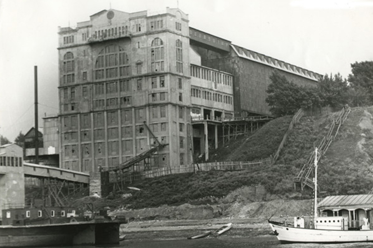 Символом города стал крупнейший в России речной элеватор емкостью 2 млн пудов хлеба. В эксплуатацию объект был принят в 1917 году. Построенное на крутом речном откосе здание словно стекает величественными объемами к реке. Челнинский элеватор является памятником истории и архитектуры