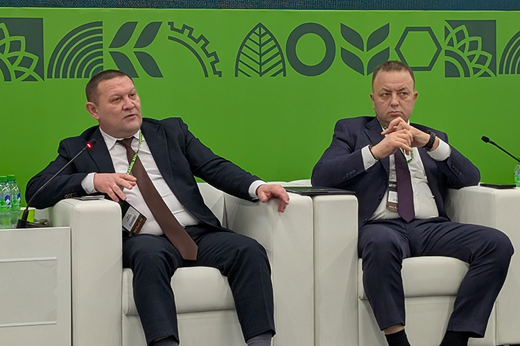 Сейчас, по мнению Ленара Гарипова, рынок нащупал некое дно, от которого далее будет отталкиваться, но насколько длительным будет период восстановления, сказать сложно