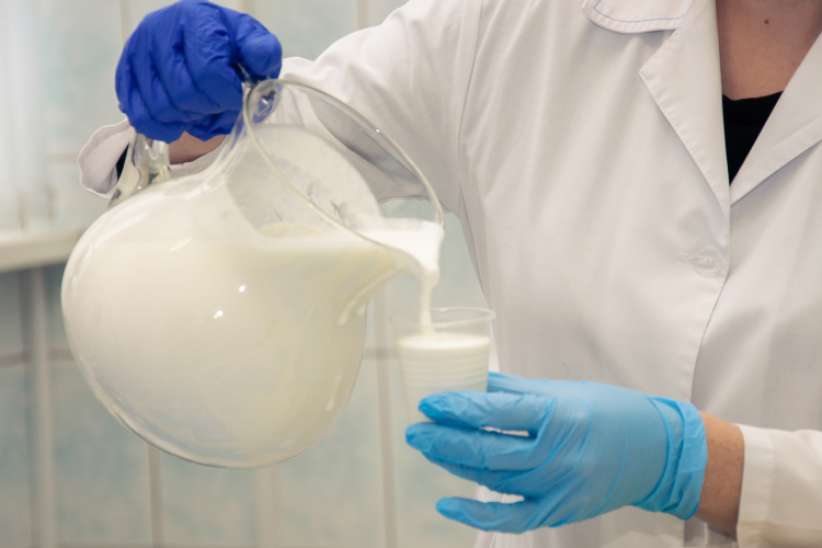 С конца прошлого года в адрес Татмолсоюза поступило более 50 обращений от предприятий с различными масштабами производства сырого молока, и все они жаловались на резкое снижение закупочных цен на молоко и отсутствие стабильности на рынке